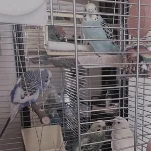 Meet your Posher, Sheila